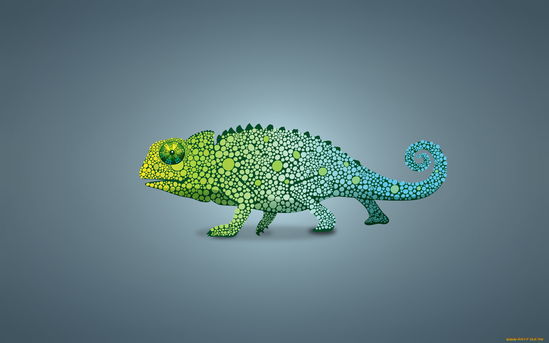 , , chameleon, , , 